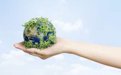 Compromiso con la sostenibilidad: cuidando el planeta para un futuro mejor